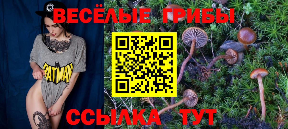 Псилоцибиновые грибы прущие грибы Апшеронск