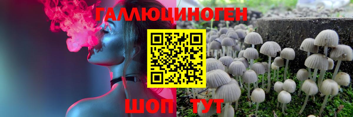 Псилоцибиновые грибы Cubensis  Вход с VPN  Апшеронск 